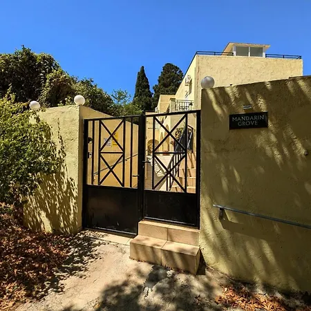 Verbena In Mandarin Grove Φόδελε