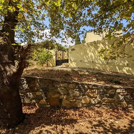Apartment Verbena In Mandarin Grove